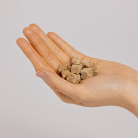 THE BRIBE — Freeze-Dried Beef Liver Treats