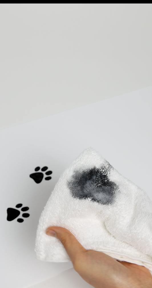 GRIME — No-Rinse Foaming Paw Cleanser & Microfiber Towel