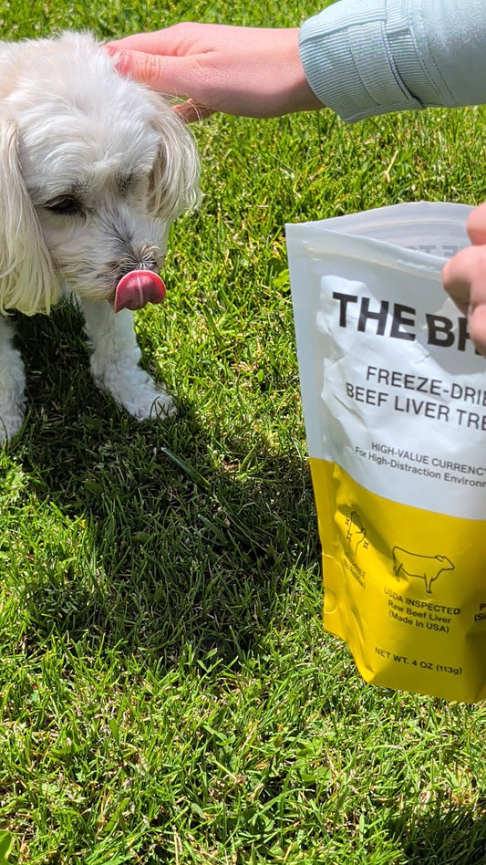 THE BRIBE — Freeze-Dried Beef Liver Treats